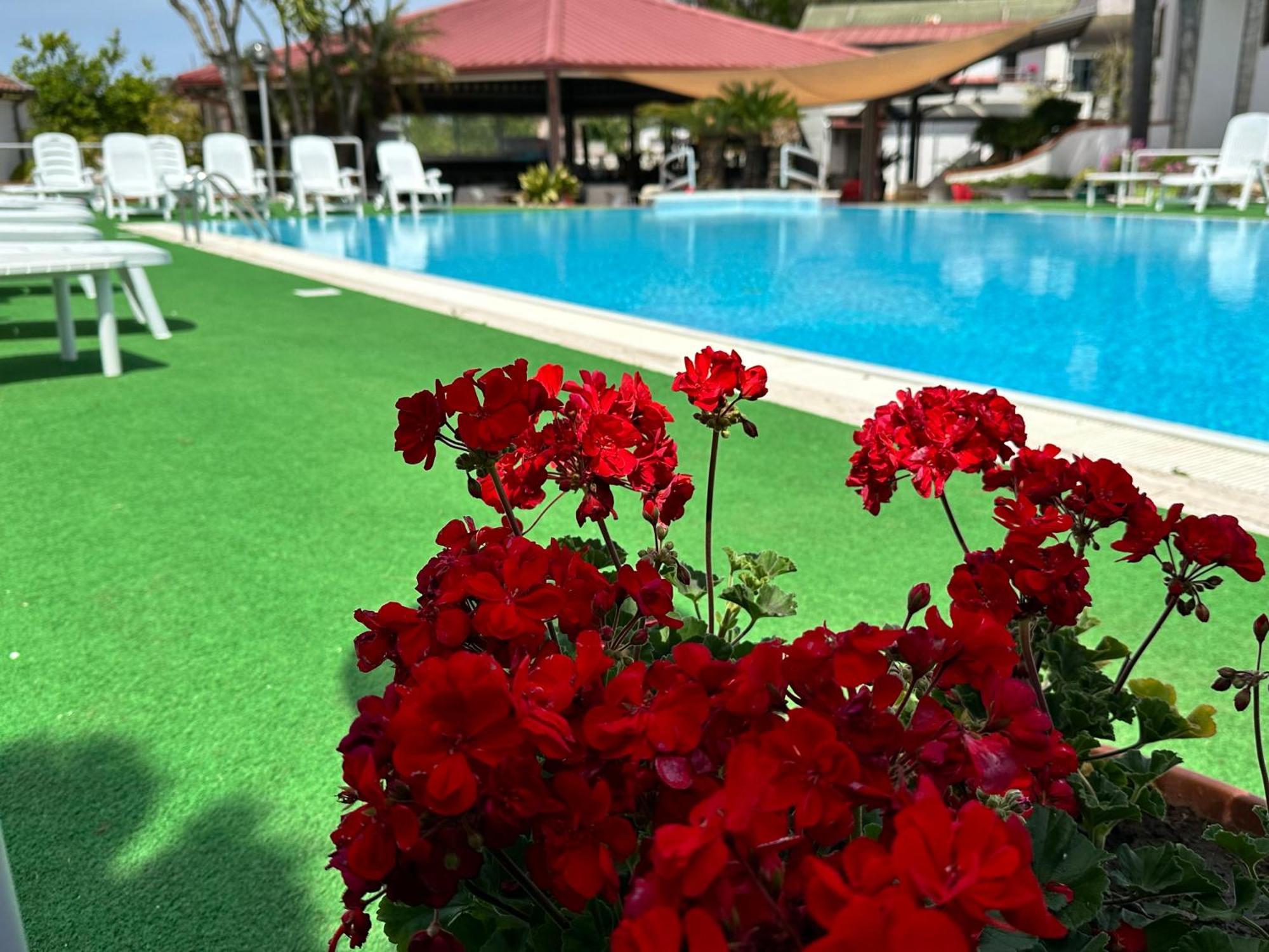 Hotel B&B Marina Capaccio Εξωτερικό φωτογραφία