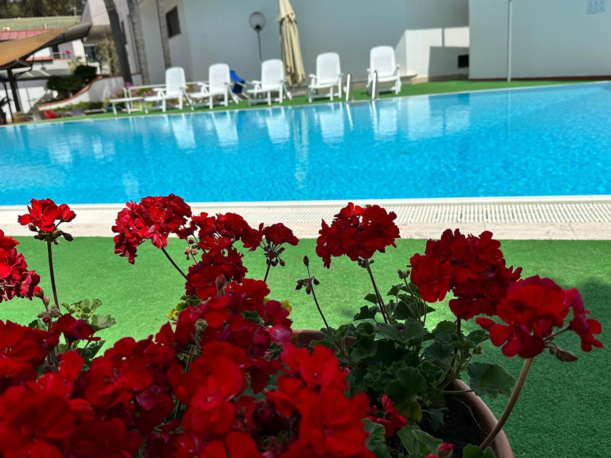 Hotel B&B Marina Capaccio Εξωτερικό φωτογραφία