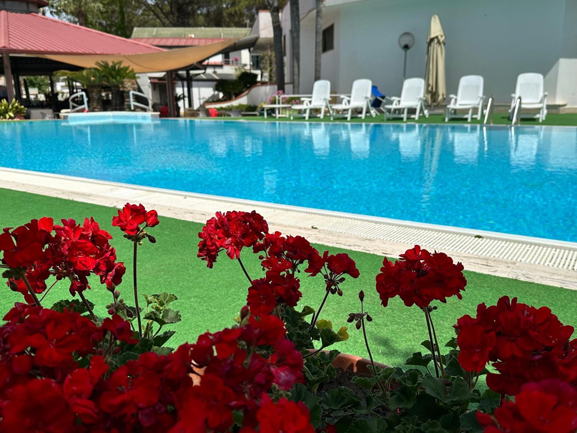 Hotel B&B Marina Capaccio Εξωτερικό φωτογραφία